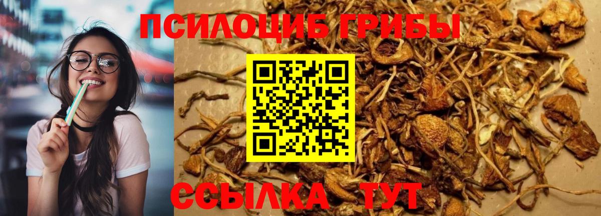 Галлюциногенные грибы прущие грибы Волгодонск