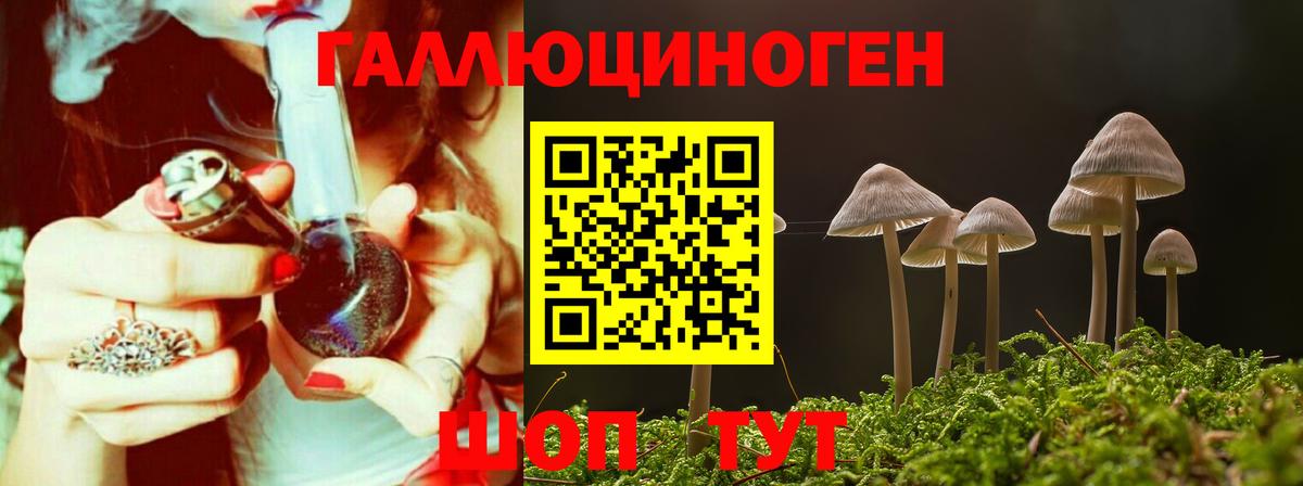 Галлюциногенные грибы GOLDEN TEACHER  Вход с VPN  Волгодонск 