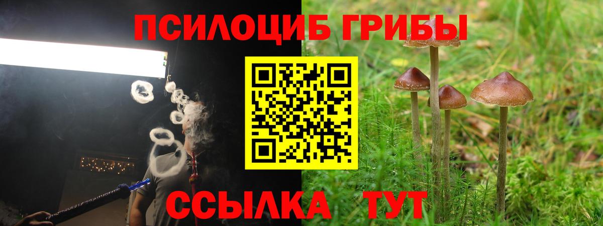 Псилоцибиновые грибы ЛСД Волгодонск